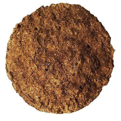 Natural Organic Big Size Cow Dung/Gobar Cake/Upla For Pooja & Havan (16 Cm x 16 Cm x 2 Cm, Brown) - Walgrow.com