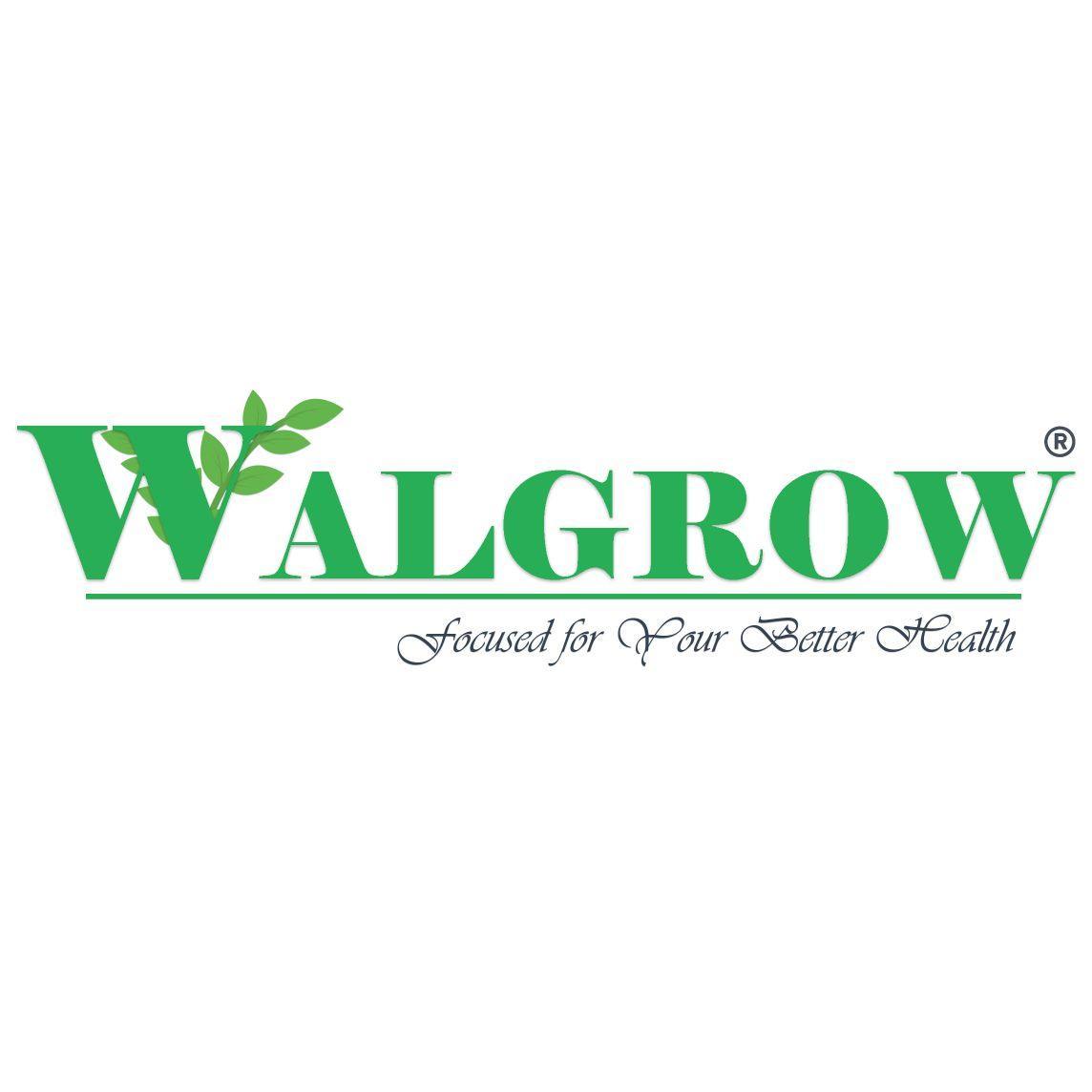 Walgrow Indian Fresh Kadi Leaf/Patta (Green) - Walgrow.com